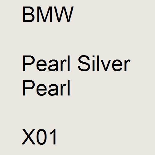 BMW, Pearl Silver Pearl, X01.